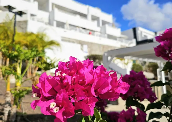 Apartman Vista Alegre